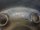 1x Stahlfelge Winterreifen 205/55 R 16 99% Bridgestone 2017 6,5J ET46 LK5x112 KBA 43830